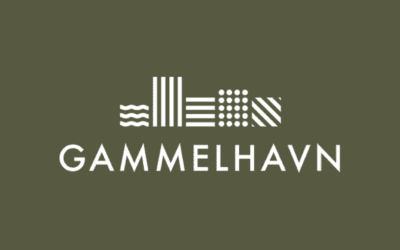 Nu bygger vi: Gammelhavn – Vejles nye grønne favn