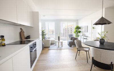 Del 2 af 2: Velkommen til Remisen i GAMMELHAVN – hvor din hverdag kan blive fyldt med lykke